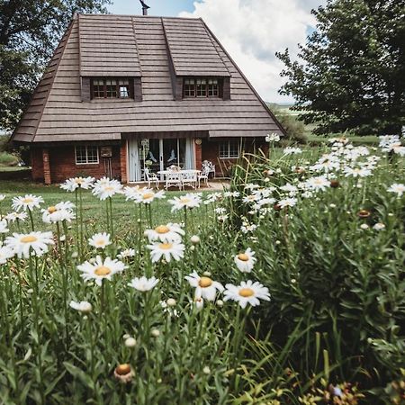 Valley Lakes Chalets Ъндърберг Екстериор снимка