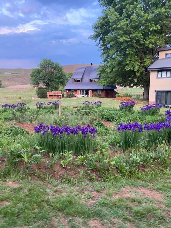 Valley Lakes Chalets Ъндърберг Екстериор снимка
